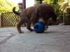 040520132326.jpg