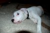 casper4.jpg