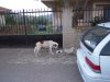 DSCN7065.jpg