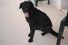 DSC_0183.jpg DSC_0183.jpg