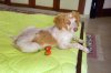 DSC_8270.jpg