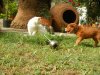 DSCN0021.jpg
