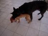 DSCN7340.jpg