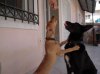 DSCN7334.jpg