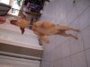 DSCN7320.jpg