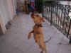 DSCN7315.jpg
