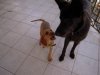 DSCN7343.jpg