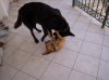 DSCN7341.jpg