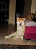 DSC00647.jpg