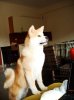 DSC00742.jpg