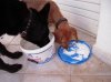 DSCN7434.jpg DSCN7434.jpg