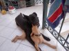 DSCN7453.jpg