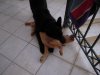 DSCN7445.jpg