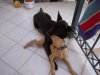 DSCN7452.jpg