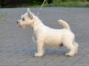 Kacperek (1).jpg Kacperek (1).jpg