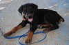 DSC_0013.jpg DSC_0013.jpg