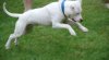 DSC_6181.jpg