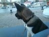 uploadfromtaptalk1380483362111.jpg