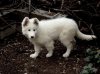 DSC05293small.jpg