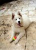 DSC05300small.jpg