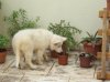 DSC05306small.jpg