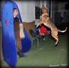 gioha flying1.jpg