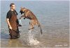 Gioha sea1.jpg