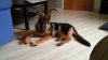 WP_20131115_003.jpg