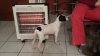 20131229_192419.jpg