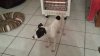 20131229_192734.jpg