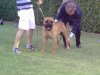 200620101123..jpg