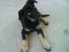 DSC00005..jpg DSC00005..jpg