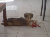 DSC01155..jpg