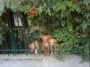 Εικόνα0088..jpg Εικόνα0088..jpg