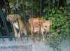 Εικόνα0087..jpg Εικόνα0087..jpg