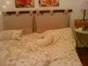 DSC00023..jpg