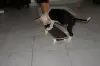 louki3..jpg