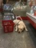 maysupermarket2..jpg