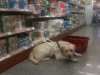 Μay-supermarket1&#46.jpg