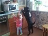 animals_32_33..jpg