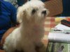 IMG00003-20100822-2&.jpg