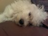 IMG00029-20100830-0&.jpg