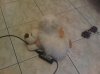 IMG00001-20100822-2&.jpg