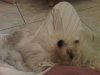 IMG00056-20100914-0&.jpg