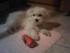 IMG00018-20100827-0&.jpg