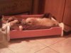 IMG00047-20100906-0&.jpg
