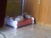IMG00051-20100907-1&.jpg