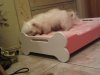 IMG00062-20100915-2&.jpg