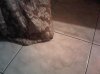 IMG00042-20100904-0&.jpg