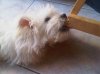 IMG00037-20100830-1&.jpg